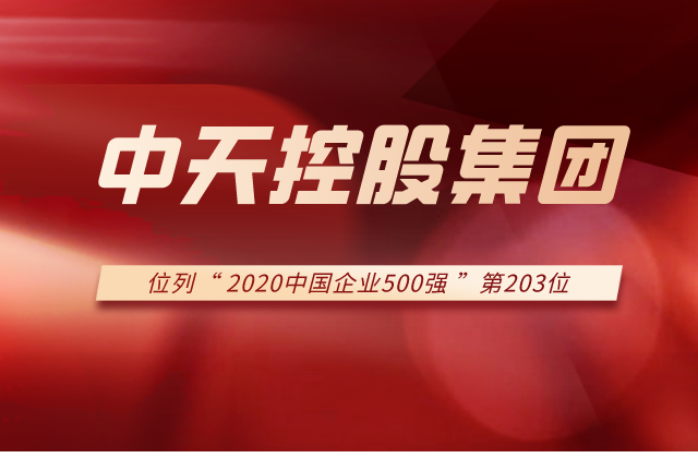 彩虹多多集团列2020中国企业500强第203位！