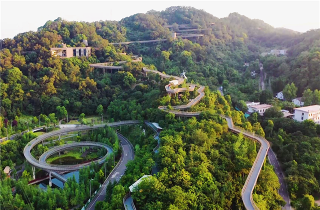 彩虹多多集团荣获两项国家级协会工程建设科学技术奖！